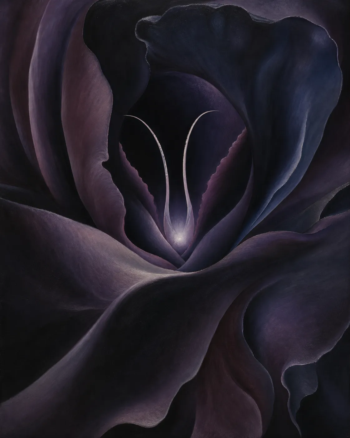A close-cropped black tide iris in midnight blue and aubergine, its layered petals surrounding a small pearl-lit core and two pale filaments.
