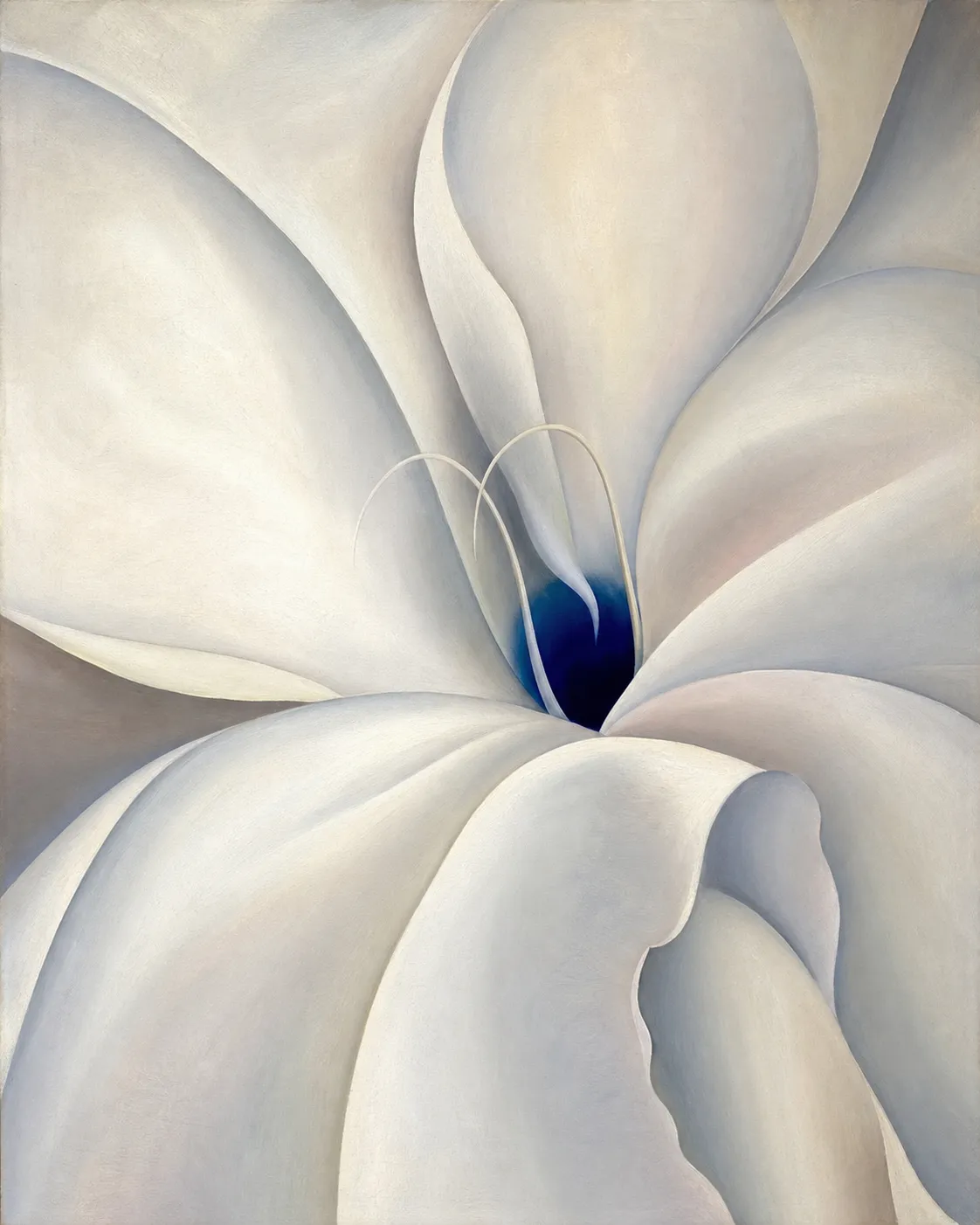 A close-cropped white tideflower made of sweeping ivory petals, with two fine pale filaments leading into a deep cobalt center.